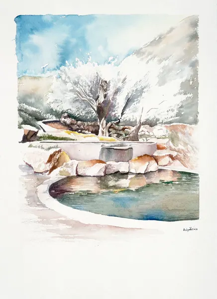 A spring of flowing water in a natural landscape.