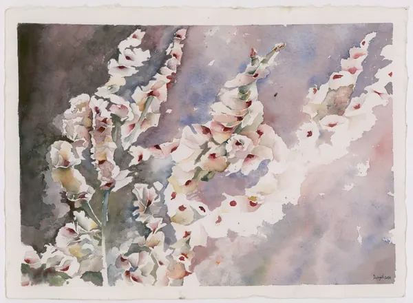 Wild almond trees in blossom in Ein Karem.